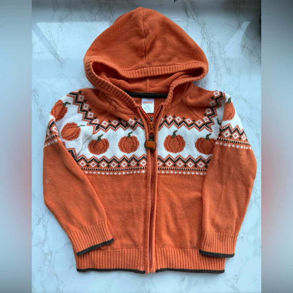 Gymboree Lil Pumpkin Orange Hooded Pumpkin Full Zip Sweater 2T Harvest Fall